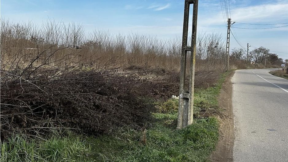 Parcele Intravilan 5km de Salonta Utilitati si asfalt - Poză 2