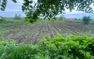 Casa la Tara | Balinesti | 16 ARI - Poză 11