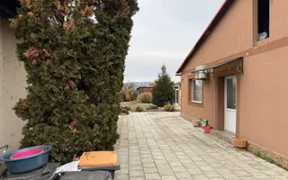 Casa spatioasa de vanzare plan parter in Osorhei - Poză 11