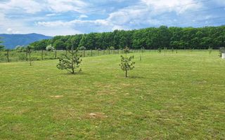 Teren Extravilan | 2.000 MPU | Intabulat | Zonă liniștită - Poză 2