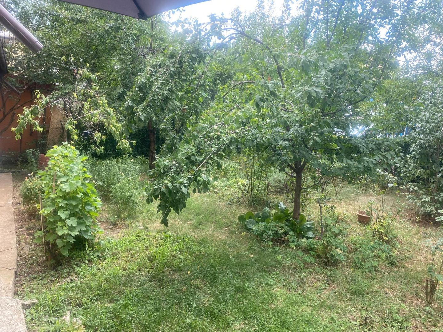 Modificat in 3 camere! Vanzare apartament in Targoviste-Micro 4 - Poză 12