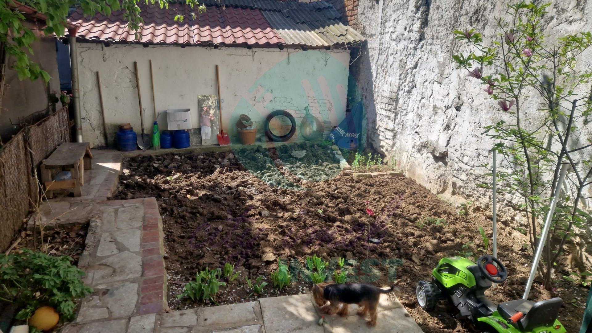 JUMATATE DE VILA  INTERBELICA- CURTE PROPRIE- ROND ALBA IULIA-DECEBAL - Poză 5