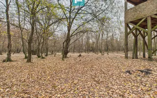 Teren spectaculos la  Periam Port - Poză 14