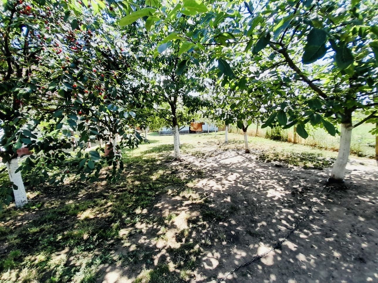 Casă + 2870 mp teren – oportunitate Ciocaia - Poză 5