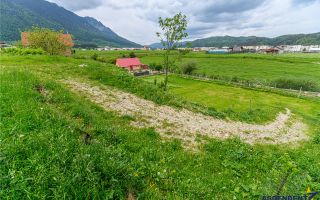 Teren intravilan, pe 1.500 mp, deschidere la asfalt, Zarnesti, Brasov - Poză 4