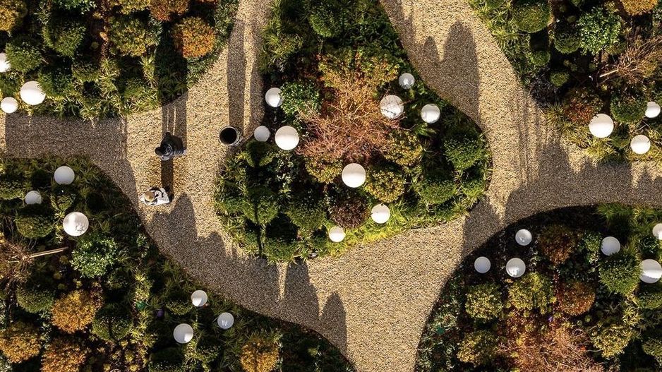 Cortina North - Poză 4