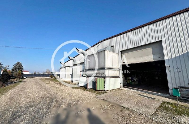 Hală de închiriat în zona industrială Santion, Bihor - Poză 2