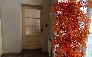 Proprietate spațioasă ultracentrală – 105 mp + terasă + pod mansardabi - Poză 2