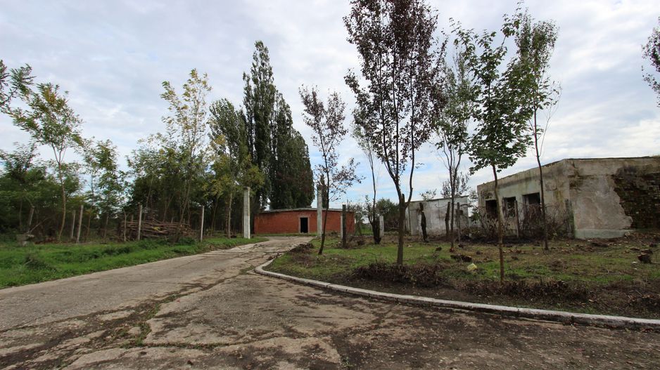 Vanzare hale Mosnita Noua-fosta Ferma 7 - Poză 44