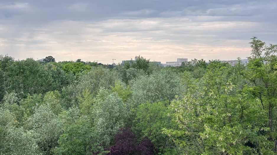 Apartament Luminos 2 camere. Vedere Parc Tineretului, Zona Pridvor. - Poză 6