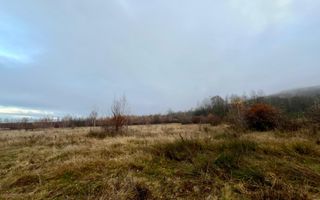 Teren extravilan 6.500 mp – două căi de acces, Cârțișoara - Poză 3