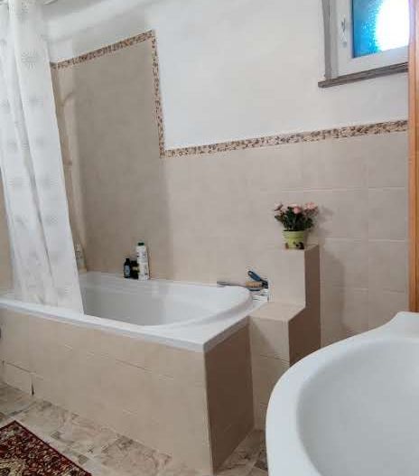 CASA RECAS CU 1438 MP TEREN - Poză 20