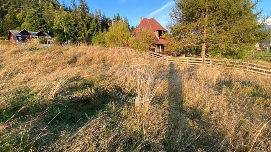 Teren Intravilan 1000mp-panorama-oportunitate investitie-Colibita - Poză 6