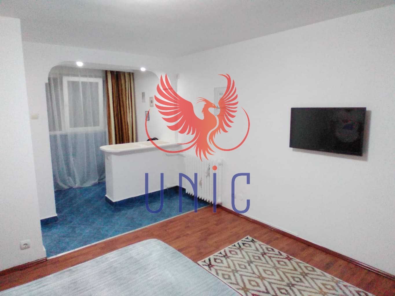 Garsoniera Brazda lui Novac, parter - 65 000 Euro - Poză 3