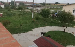 Ferma de vânzare - Poză 15
