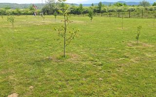 Teren Extravilan | 2.000 MPU | Intabulat | Zonă liniștită - Poză 3