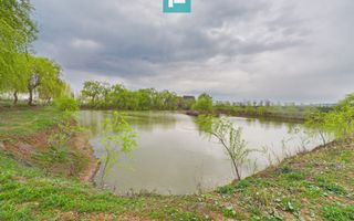 Teren 1 ha cu baltă populată – Alioș (Mașloc) - Poză 3