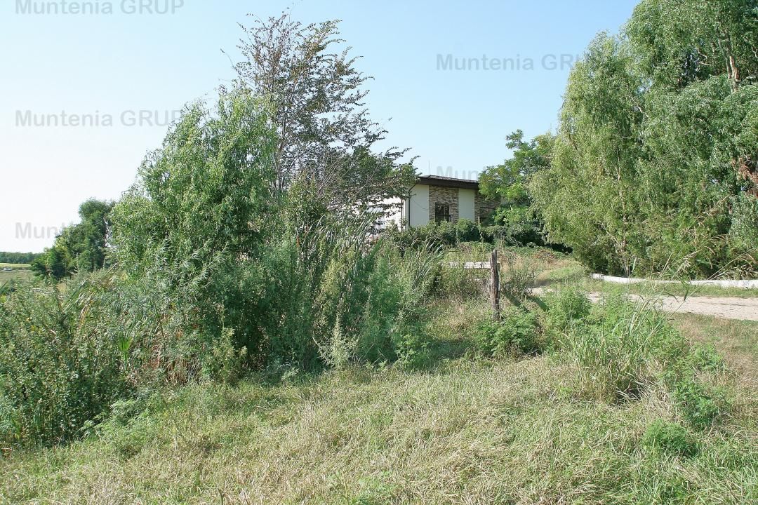 Belciugatele - laga Complexul Turistic Valea Iazurilor, 19720 mp. cu deschidere la balta - Poză 5