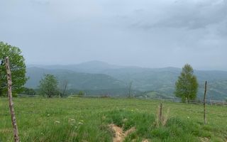 Teren extravilan 2ha, priveliste panoramica spre munti /Poiana Marului - Poză 9