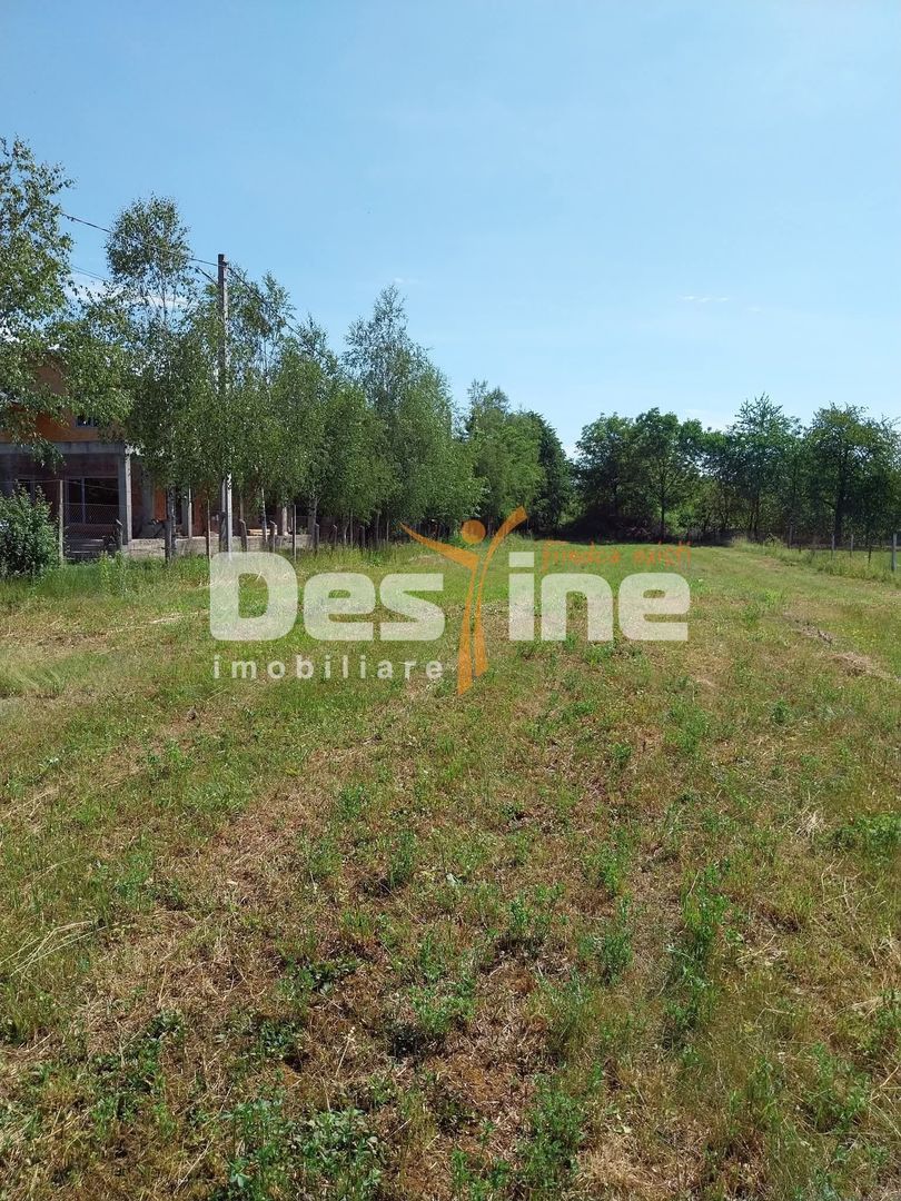 Teren Intravilan 12500 mp Drajna de Sus - Teisani. - Poză 3