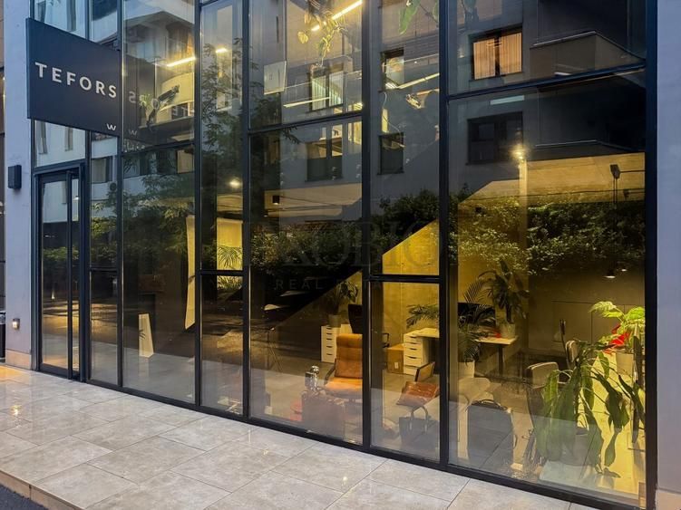 Spatiu Comercial / Birou in Win Herastrau | 2 Etaje | 2 Intrari - Poză 2