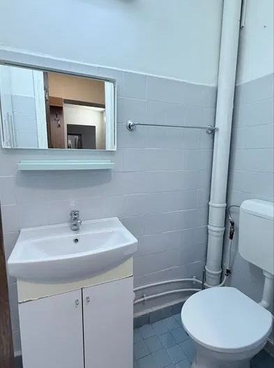 AP. 3 CAMERE GORJULUI, DOG-FRIENDLY, PARCARE INCLUSA, METROU 3 MINUTE - Poză 7