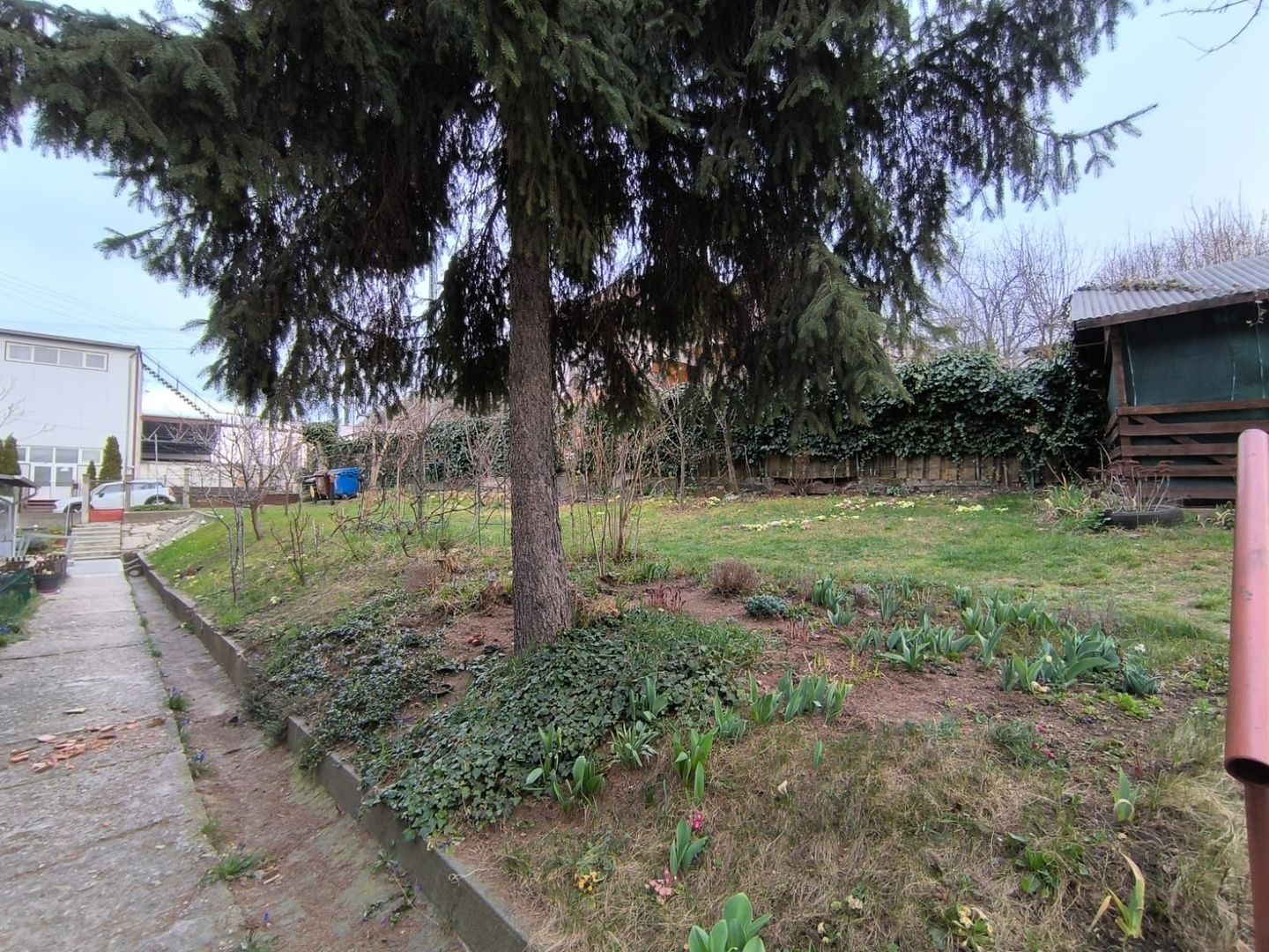 Apartament tip studio cu gradina Gruia strada Migdalului - Poză 10