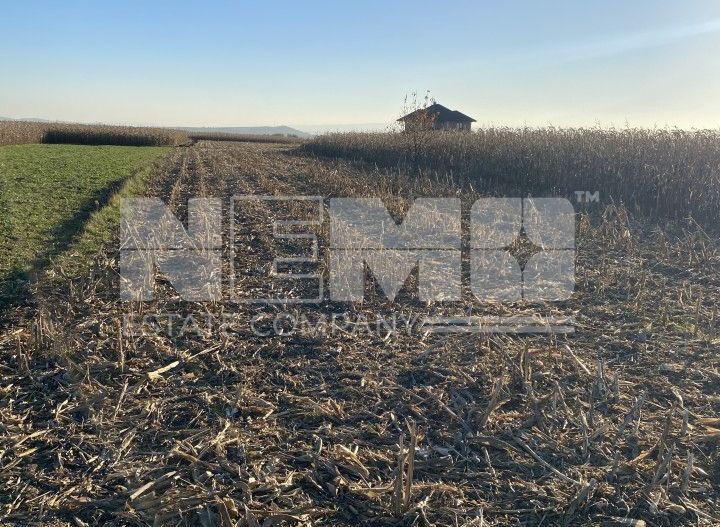 Teren Frătăuții Vechi | 14 Ari | 25.000 EUR - Poză 1