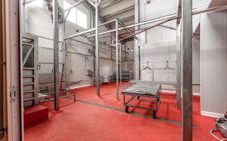 Unitate de abatorizare și procesare carne DN7  -  Nădlac - Poză 12
