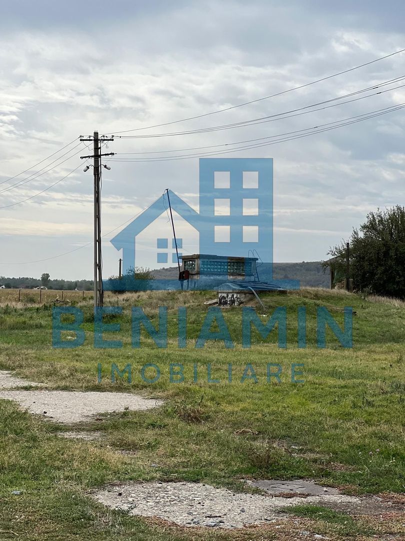 60.000mp Ferma de bovine, păsări, porcine, culturi agricole Diverse - Poză 8