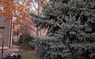 VANZARE CASA P+1+M | ZONA TINERETULUI - Poză 21
