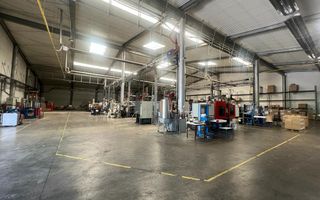 Sapient | Spațiu industrial _ zona Calea Borșului - Poză 5