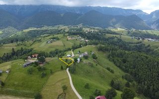 Oportunitate Investitie | Teren Pestera | 1.093mp | Utilitati Gaz/Curent | PUZ - Poză 8