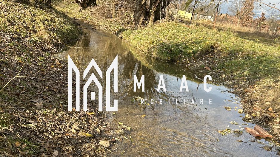 Teren cu potențial turistic I Cârțișoara I 1800 MP - Poză 4