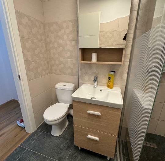 AP. 3 CAMERE KISELEFF, PRIMA INCHIRIERE, RENOVAT,PARCARE, CAT-FRIENDLY - Poză 9