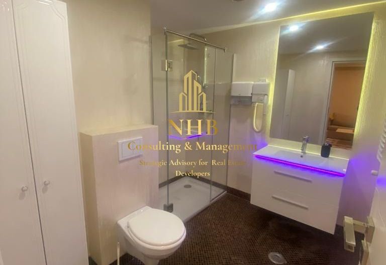 Apartament de vanzare - 2 camere-Herastrau  -TERASA - Poză 6