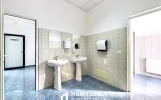 Clădire de birouri de închiriat în Dumbrăvița - Poză 20