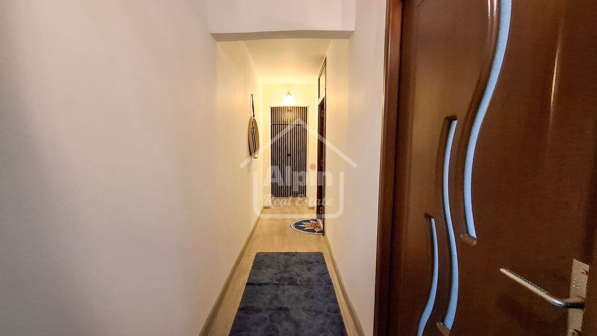 Suprafata Generoasa I Zona Gemenii - Poză 12