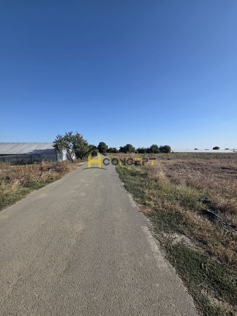 Teren 7 euro mp str asfaltata langa padure Colibasi Campurelu - Poză 3