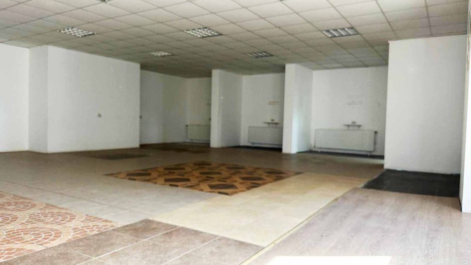 Hala industriala de inchiriat – Arad, Strada Padurii - Poză 8