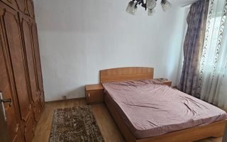 2 camere Profi - Valea Rosie - Poză 3