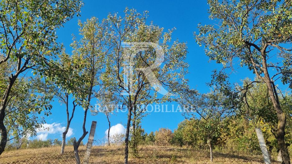 Casă renovata cu teren generos | Anexe | Gurasada | Hunedoara - Poză 44