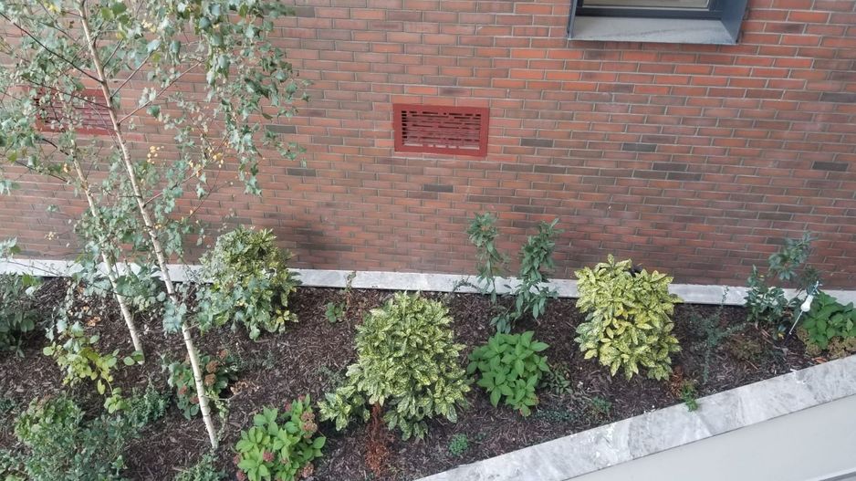 Apartamente 2 camere bloc nou Universitate Armemeasca prima Inchiriere - Poză 37