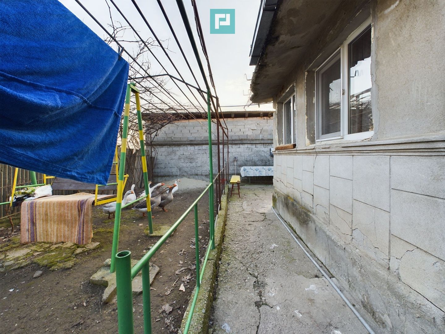 Casa modesta, 2500 mp teren, Domnesti - Poză 10