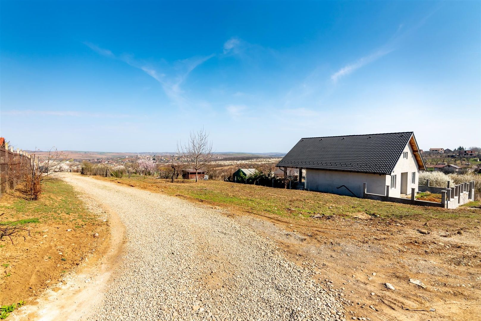 Teren intravilan Paleu - Poză 4