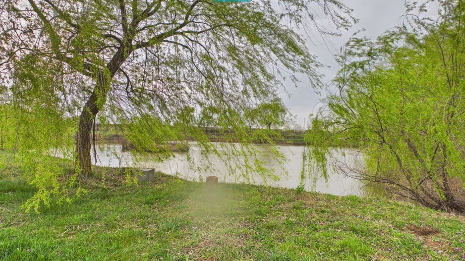 Teren 1 ha cu baltă populată – Alioș (Mașloc) - Poză 8
