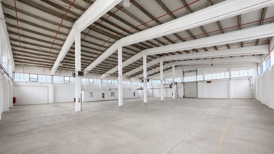 Hala industrială, Sanicolau Mic, suprafata 1.354 mp - Poză 4