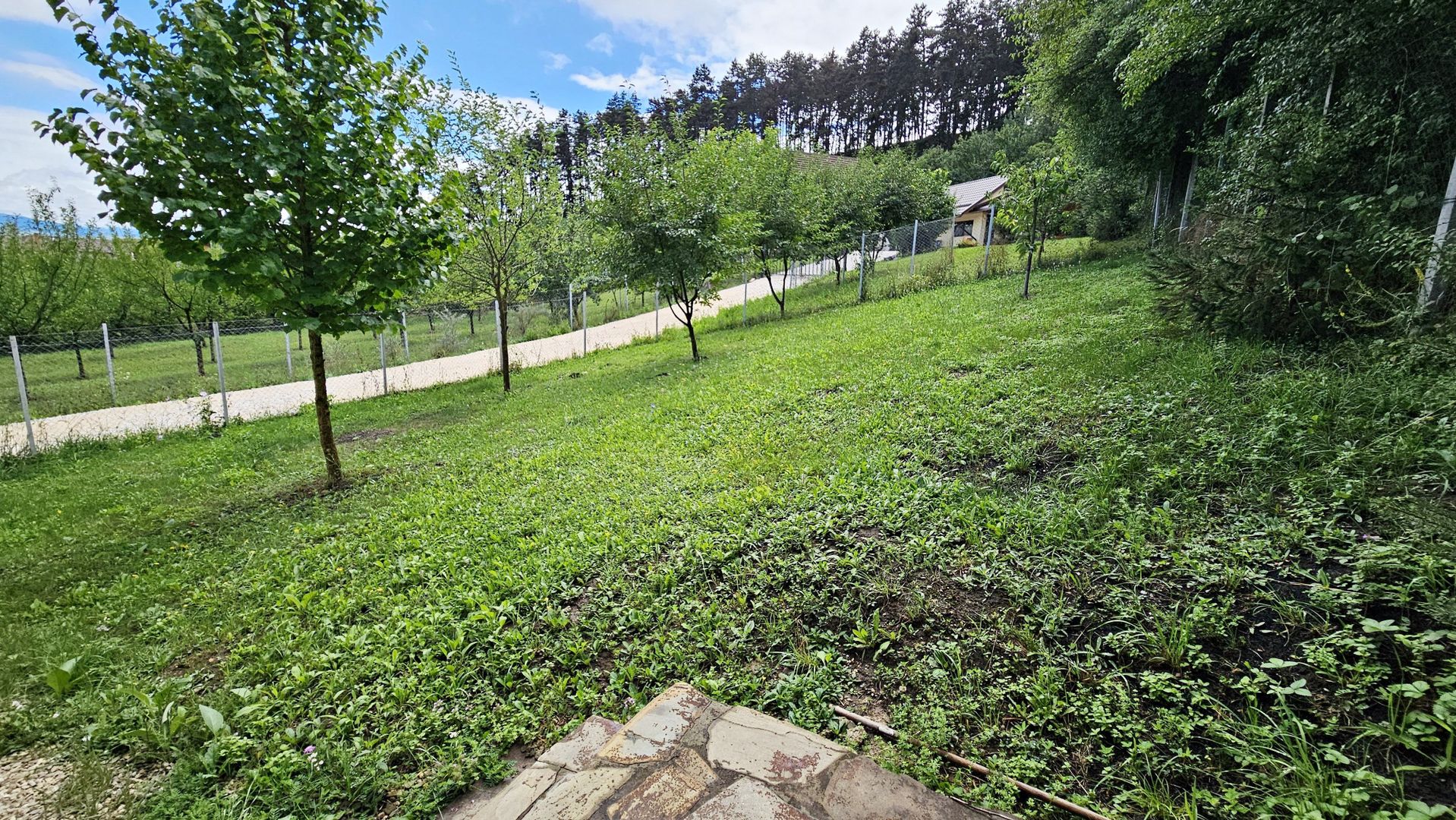 Vila noua-Sanpetru Dealul Lempes, zona verde si linistita - Poză 23