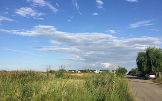 Teren intravilan in comuna Domnesti - sat Teghes - Poză 9