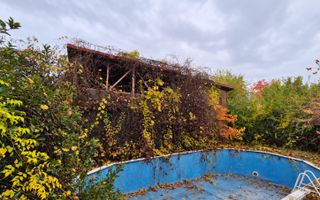 Un colț de verde, la doi pași de lac. - Poză 8